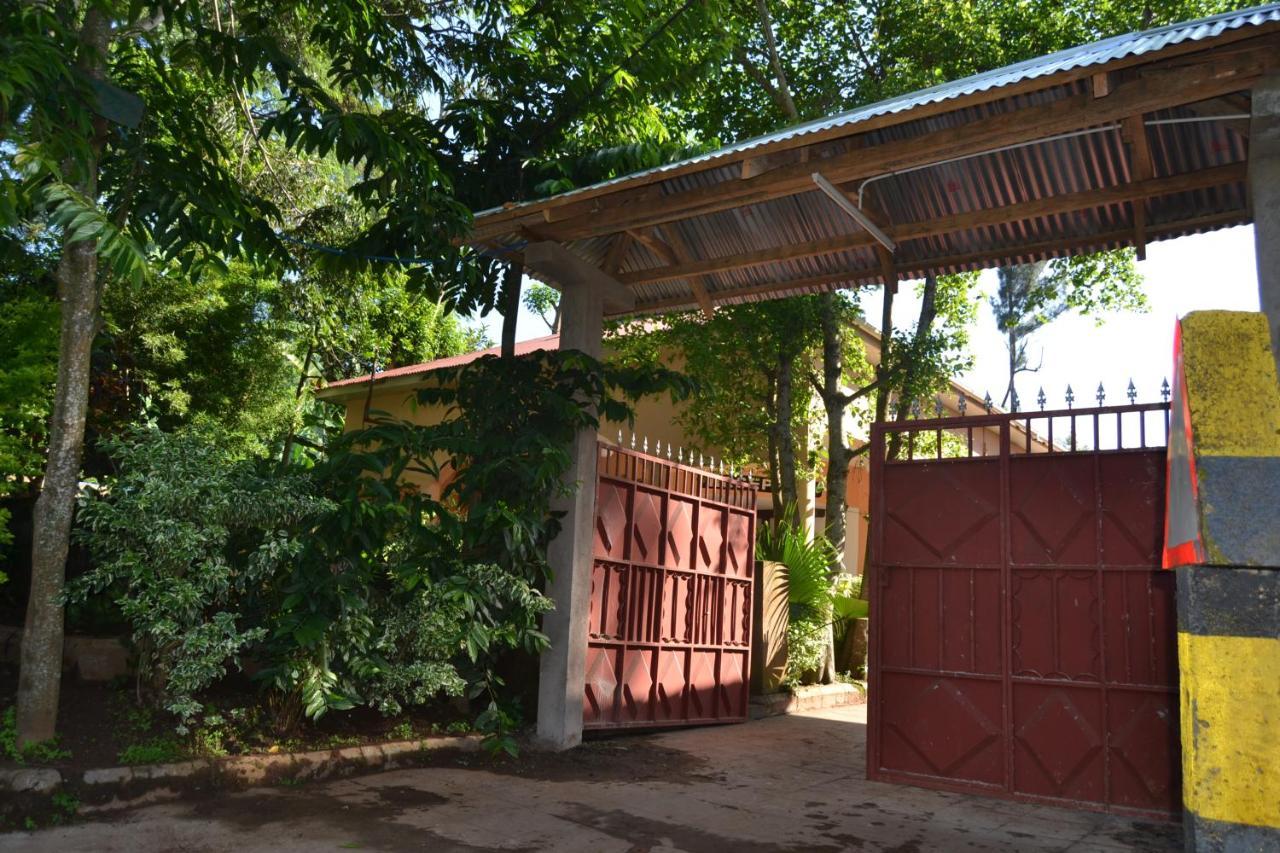 Serene Mountain Lodge Marangu Екстер'єр фото