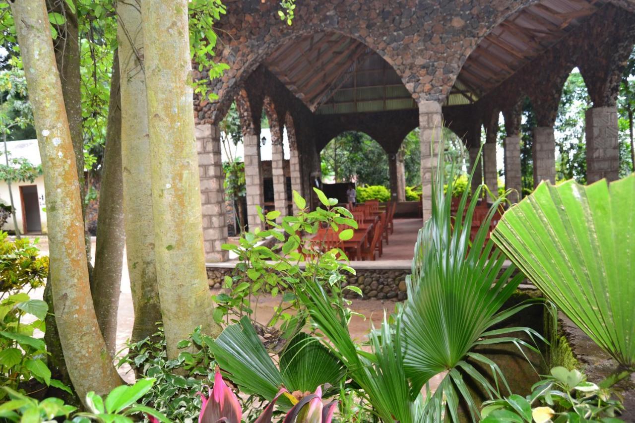 Serene Mountain Lodge Marangu Екстер'єр фото