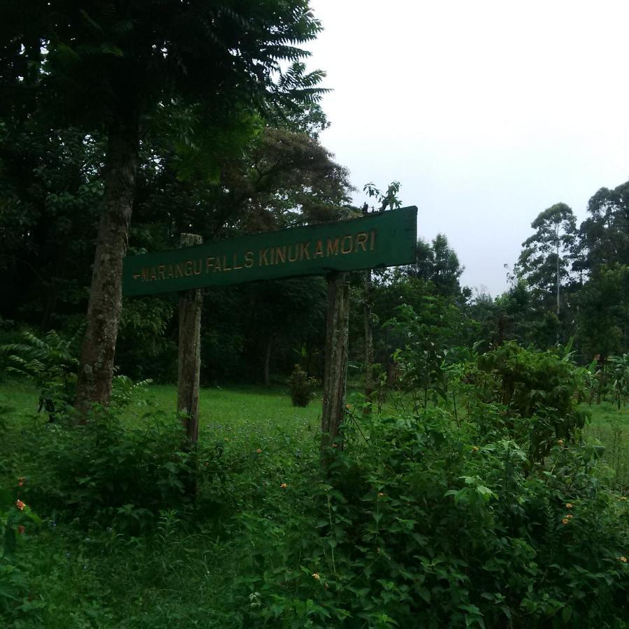 Serene Mountain Lodge Marangu Екстер'єр фото