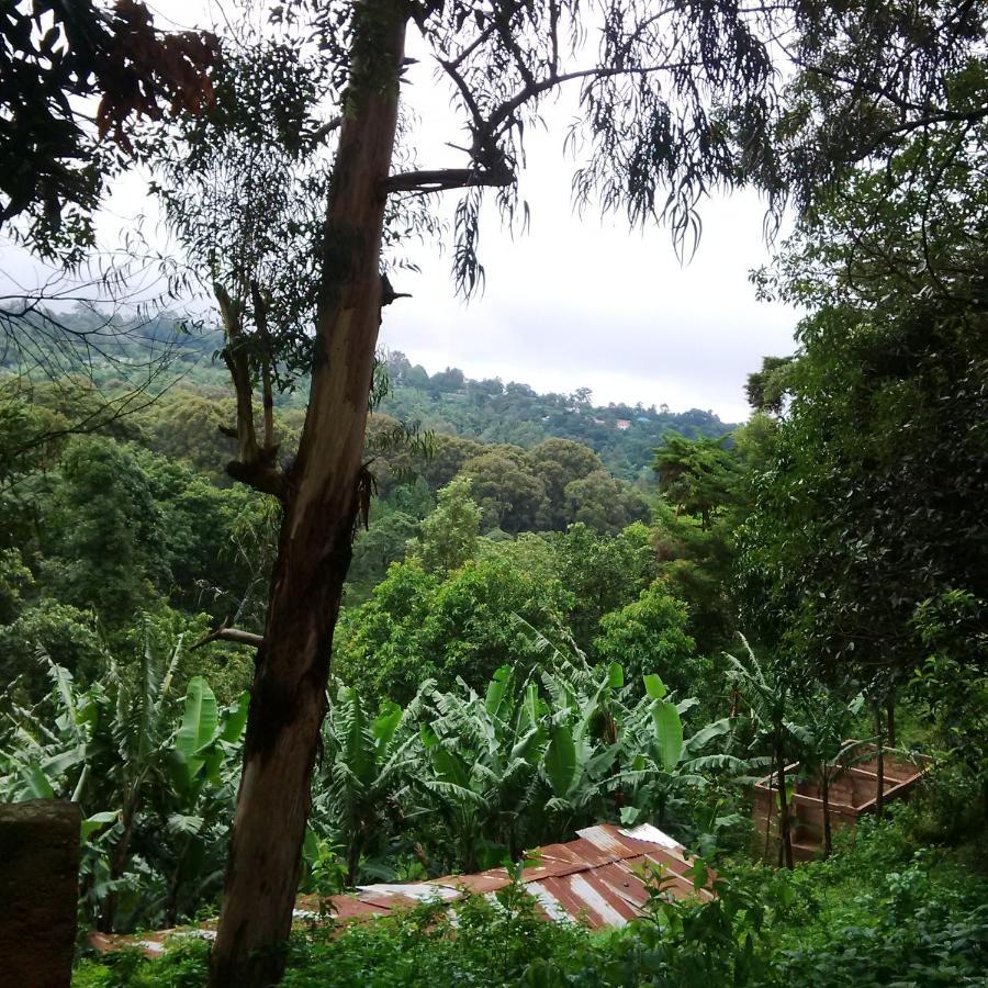 Serene Mountain Lodge Marangu Екстер'єр фото