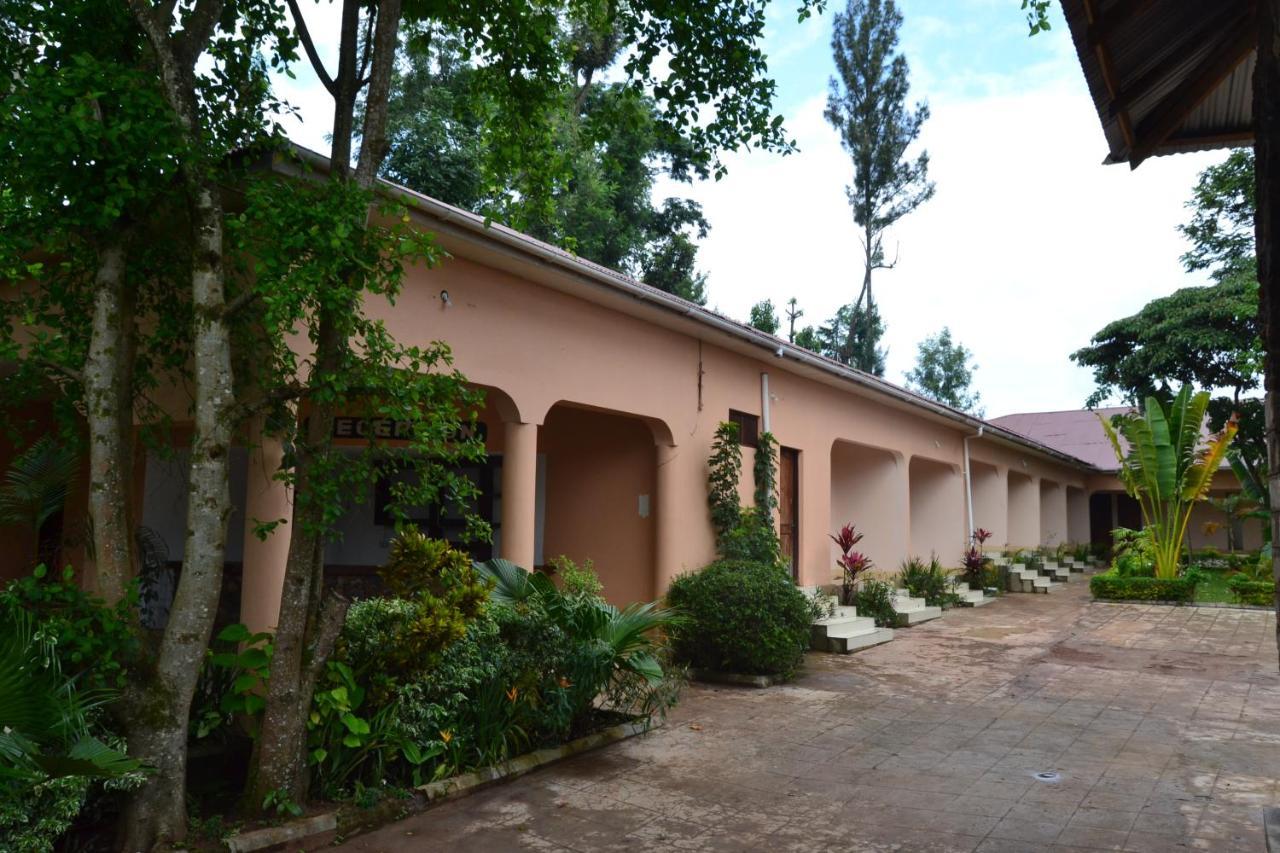 Serene Mountain Lodge Marangu Екстер'єр фото